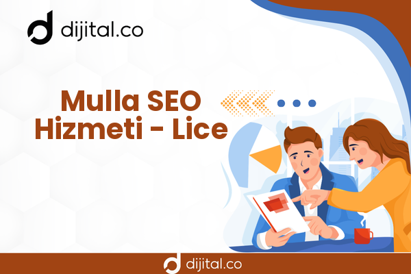 Mulla SEO Hizmeti - Lice